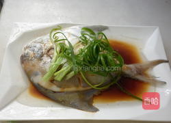 清蒸白鲳鱼的做法图解8