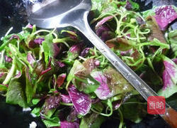 香干炒红苋菜的做法图解4