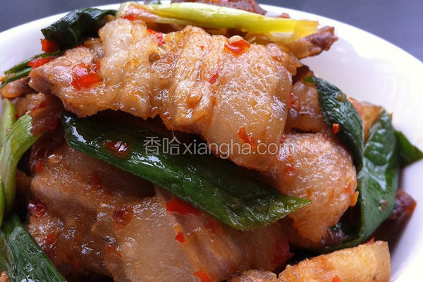 糟辣回锅肉