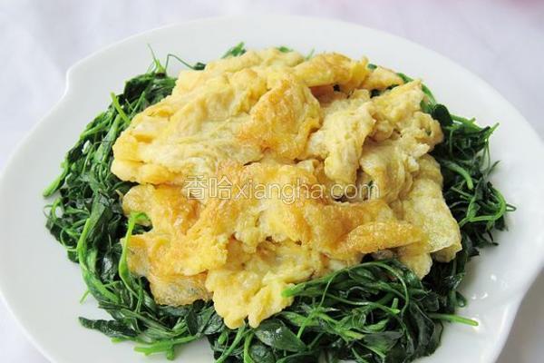 苜蓿炒鸡蛋