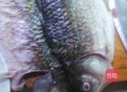 剁椒鲫鱼的做法图解1