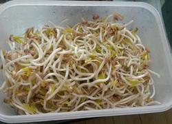 学做绿豆芽