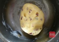 蓝莓饼干的做法图解7