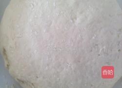 白菜鸡蛋素饺子的做法图解2