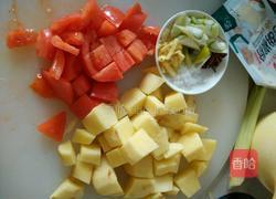 西红柿牛腩的做法图解2