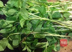 薄荷叶煎蛋的做法图解1