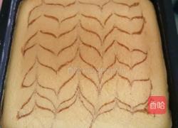 大理石轻乳酪蛋糕的做法图解11