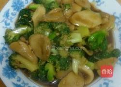 蚝油杏鲍菇西兰花的做法图解7