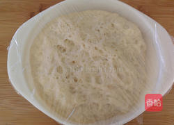 葱花卷的做法图解3