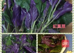 麻油炒红凤菜的做法图解1