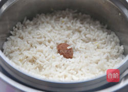 梅香茶叶水炊饭的做法图解5
