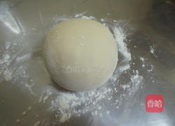 叶形水煎包的做法图解1