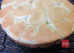 面包花的做法图解7