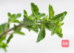 香草烤全鸡的做法图解10