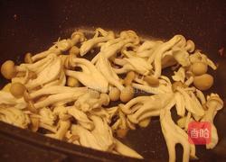 沙茶水莲海鲜菇的做法图解3