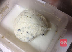 黑橄榄佛卡夏面包的做法图解8