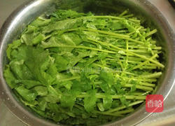 自制萝卜叶雪里红的做法图解2