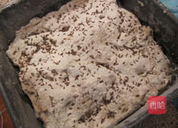 核桃黑麦面包的做法图解10