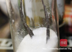 香草苹果塔的做法图解1