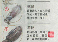 海鲜马铃薯饼的做法图解5