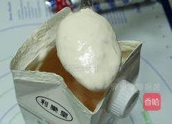 鲜果摇摇冰淇淋的做法图解5