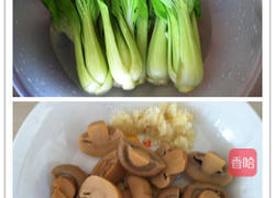 蘑菇炒油菜的做法图解1