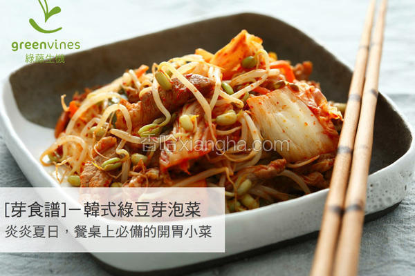 韩式绿豆芽泡菜