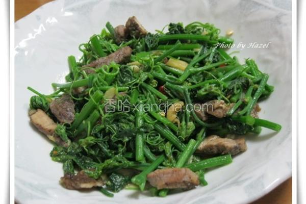 辣炒咸猪肉龙鬚菜