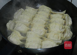 高麗菜水餃的做法圖解7