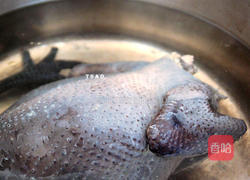 药膳乌骨鸡汤的做法图解4