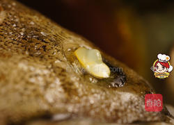 清蒸蚝油石斑鱼的做法图解6