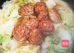 开阳白菜肉丸锅的做法图解4