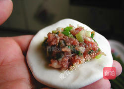 鲜肉汤圆的做法图解10