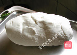 鲜肉汤圆的做法图解9