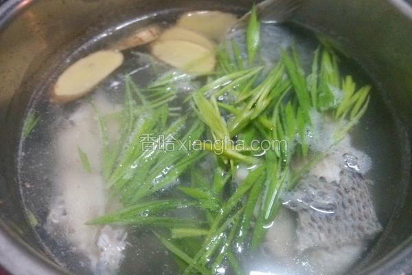 台湾鲷鱼清汤