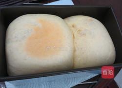 蜂蜜养乐多吐司的做法图解6