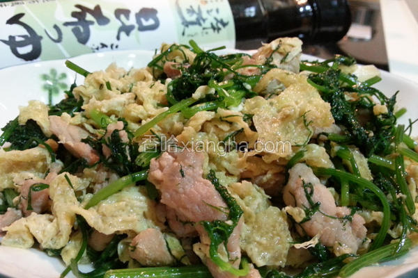 茴香炒肉片
