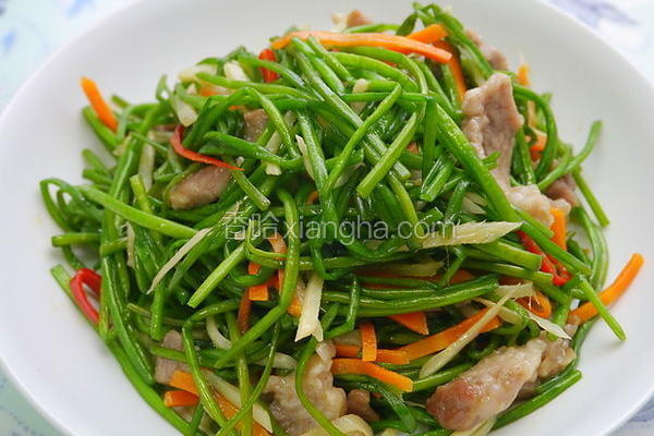 水莲炒肉丝