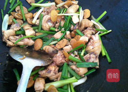 姜葱蘑菇炒鸡的做法图解4