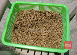 客家黄豆酱的做法图解1