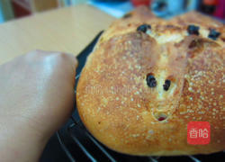 葡萄干面包的做法图解4