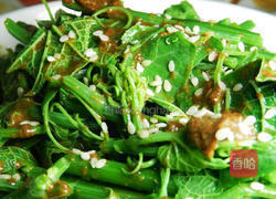 芝麻酱拌龙鬚菜的做法图解2