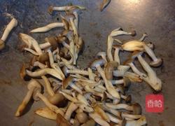 娃娃菜干煸海鮮菇的做法圖解1