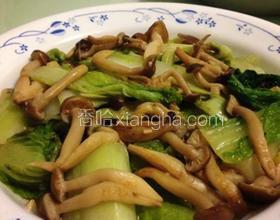 娃娃菜干煸海鮮菇