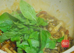 三杯海鲜菇的做法图解3