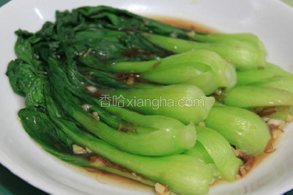 蚝油青江菜