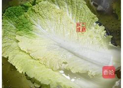 韩式泡菜的做法图解1