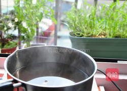 梅膏蜜果冻的做法图解9