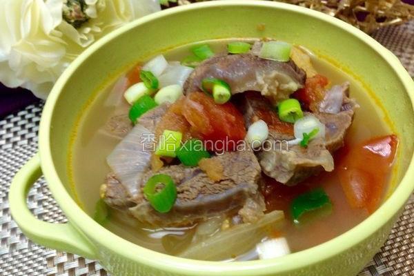 洋葱番茄牛腱肉
