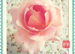 玫瑰花冰淇淋的做法图解3